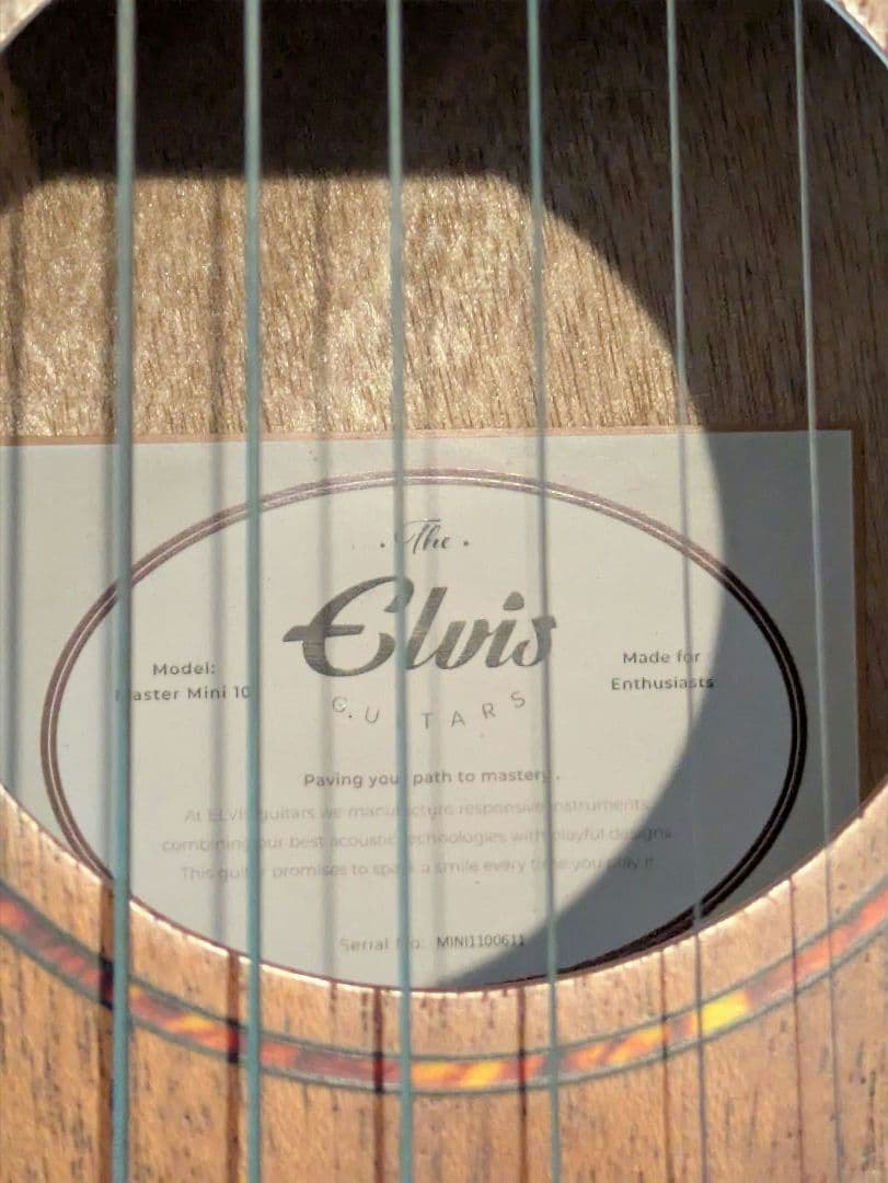 ELVISエルビス Master Mini 10 純正バッグ付き