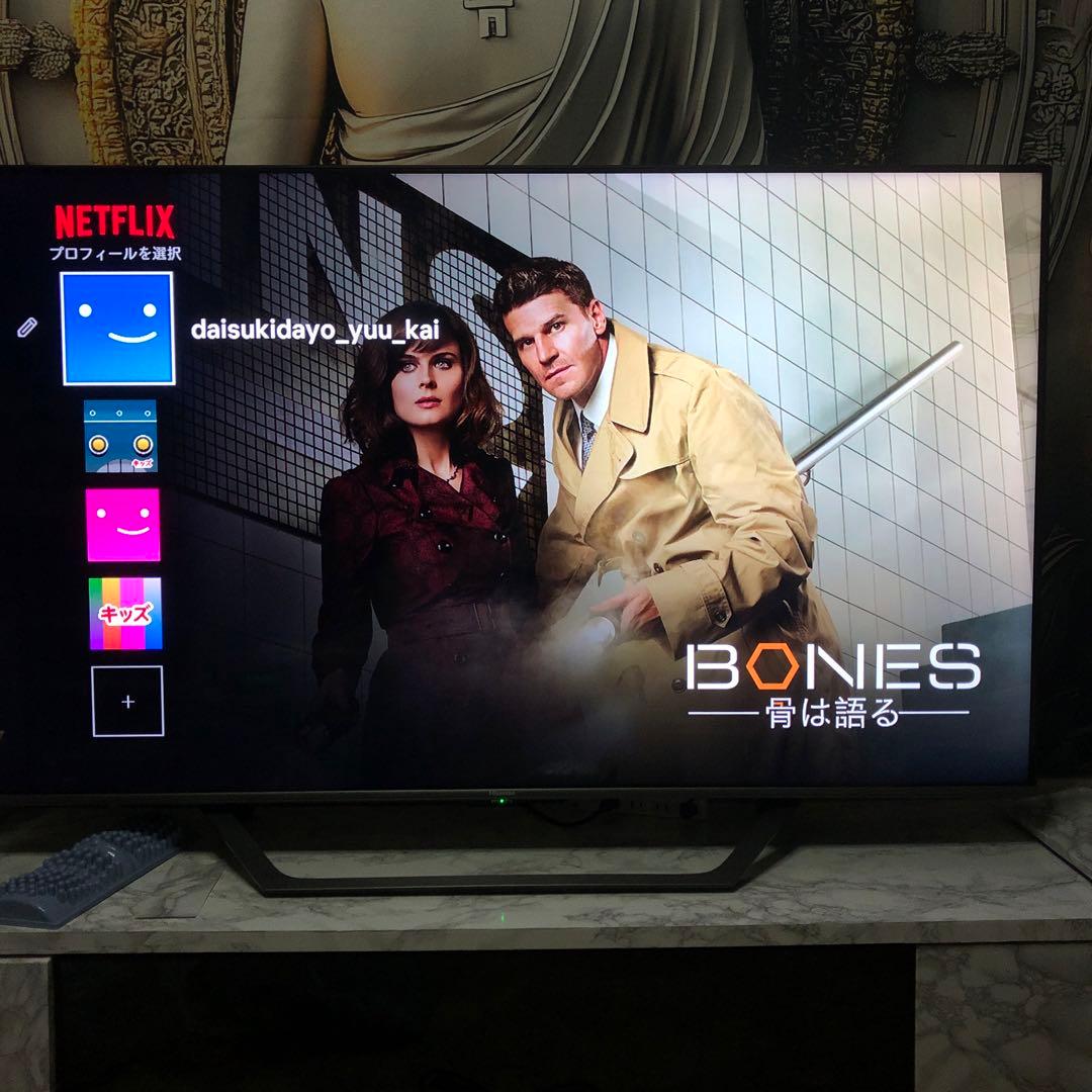 大画面液晶テレビ YouTubeプレミアム対応