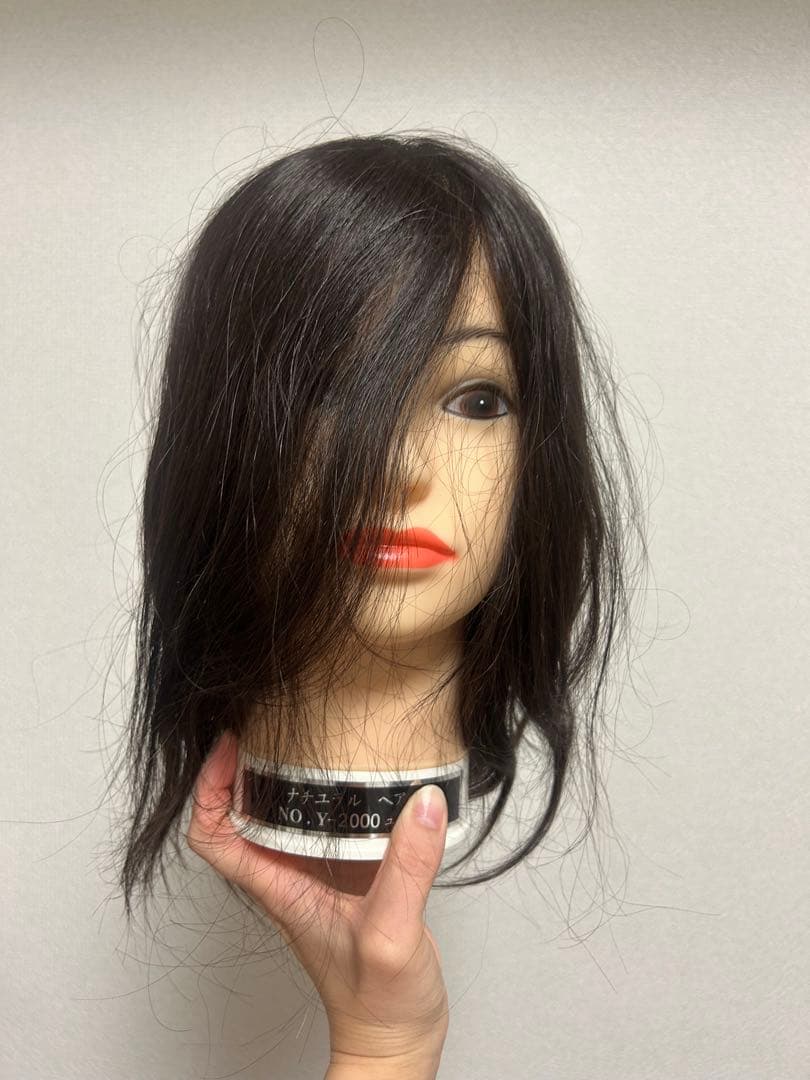 美容国家試験 練習 カットウィッグ