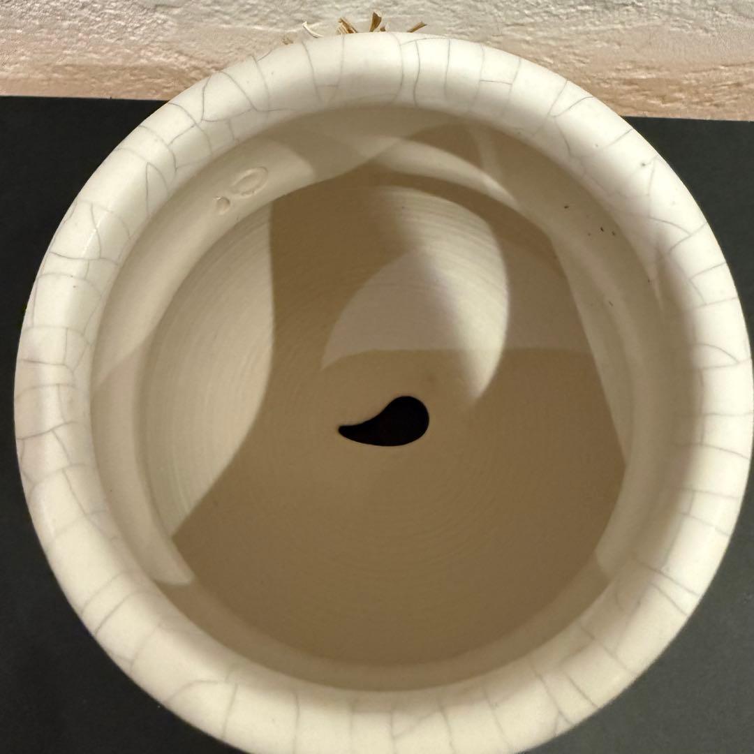 大人気 QUTOTEN. クトウテン 㘴 SOZORO ソゾロ 鉢 盆器 白