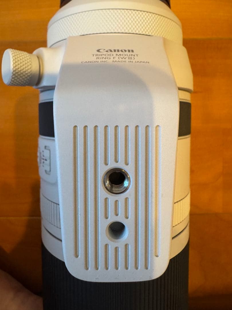 Canon RF100-500mm F4.5-7.1 L IS USM キャノン