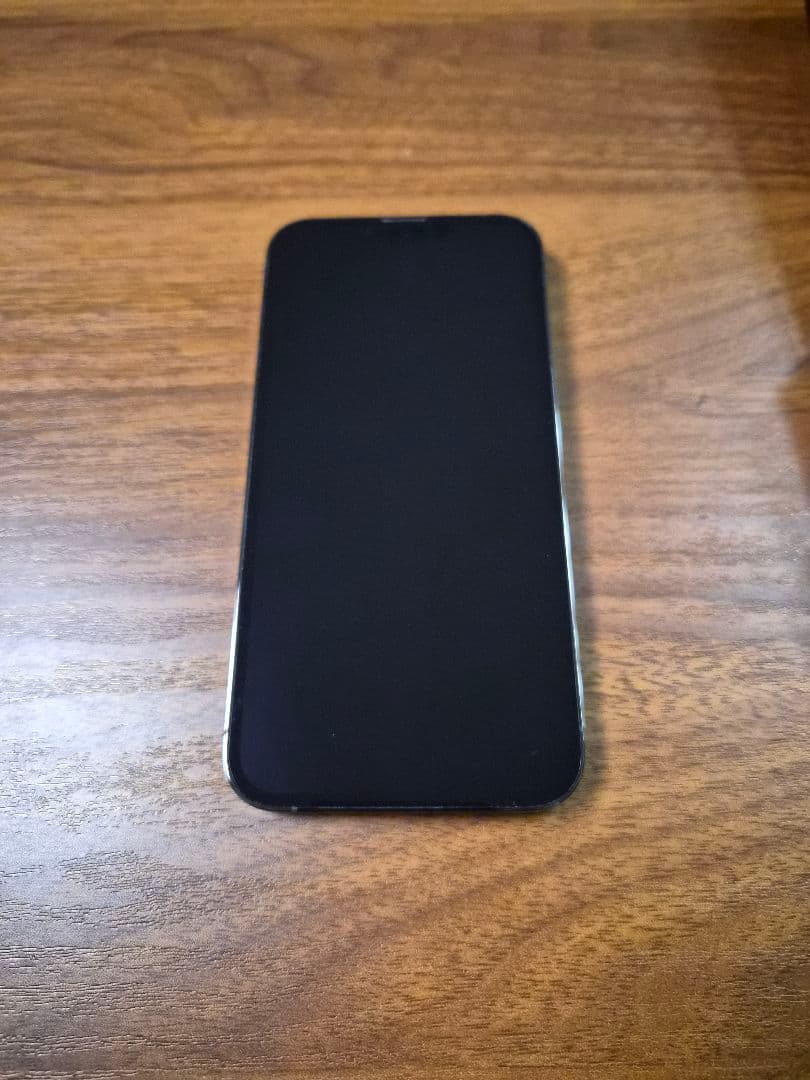 Apple iPhone 13 Pro グラファイト 256GB SIM フリー