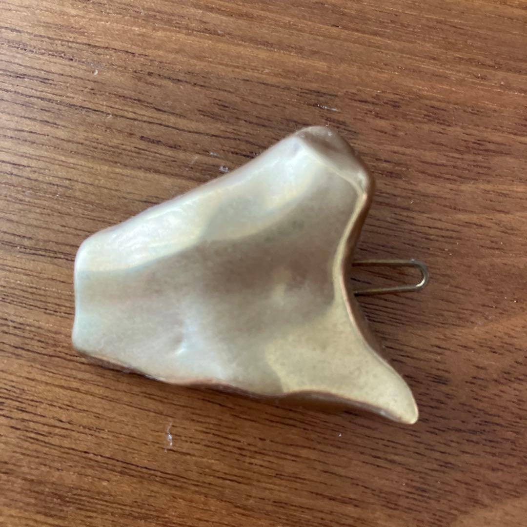 最終価格　pluie アレットクリップ