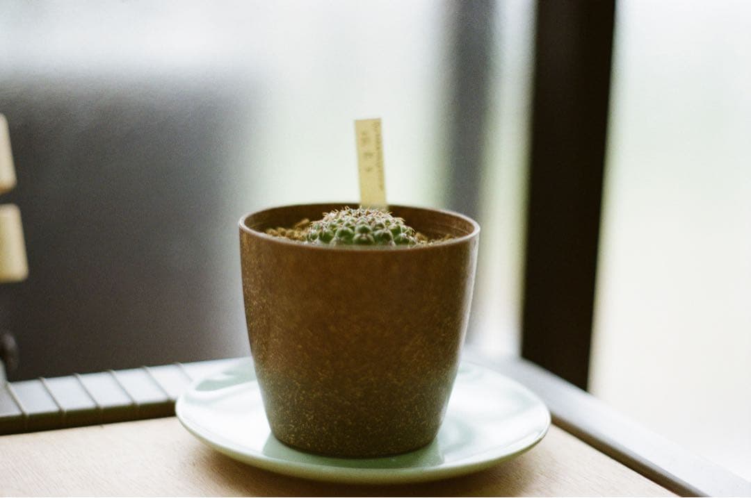 ASAHI PENTAX SPOTMATIC フィルムカメラ