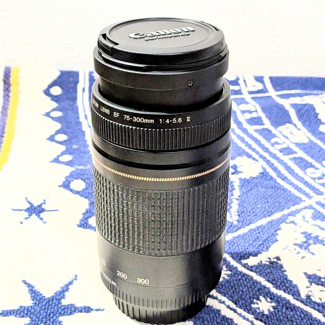 レンズ(ズーム) Canon EF 75-300mm F/4-5.6 II USM
