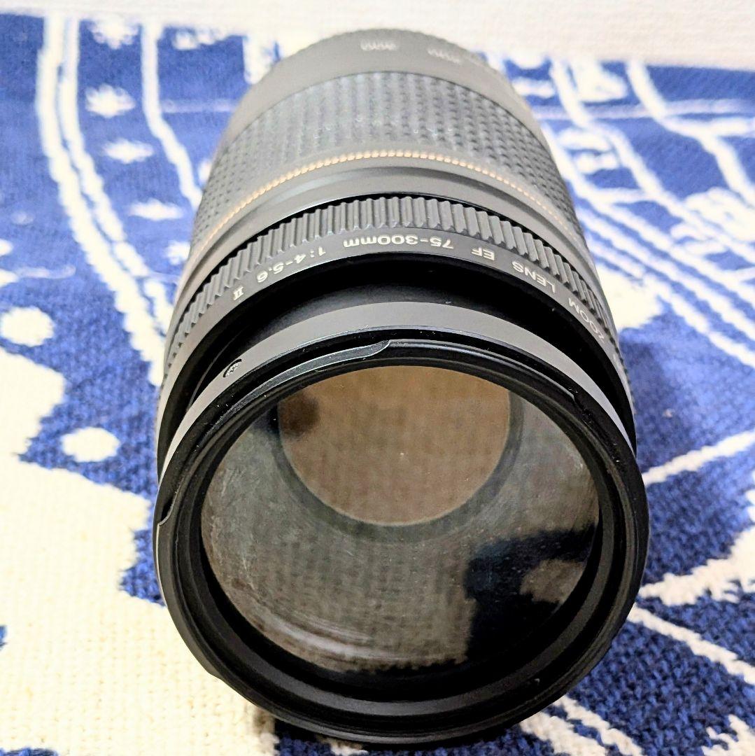 レンズ(ズーム) Canon EF 75-300mm F/4-5.6 II USM