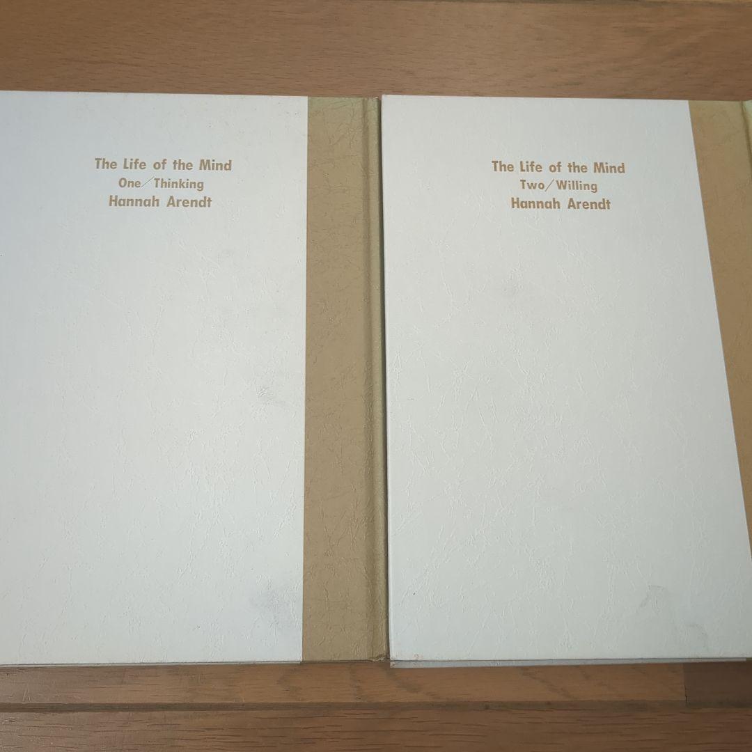 ハンナ・アーレント　精神の生活　ハイデガー　政治学　哲学史