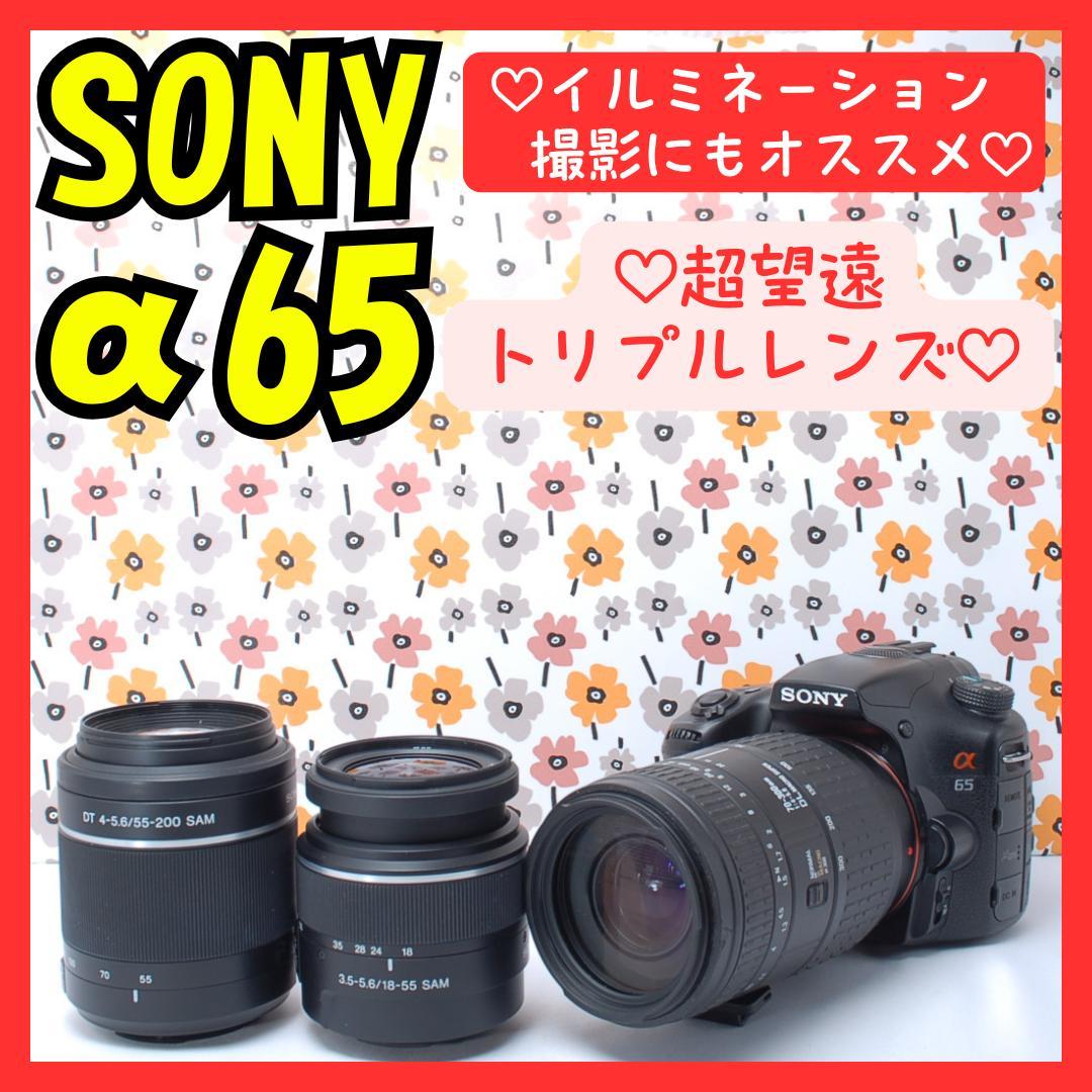 ❤即購入1000円OFF❤SONY α65❤超望遠トリプルレンズ❤超高画質❤