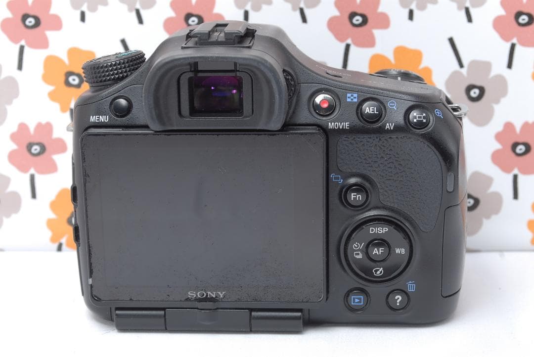 ❤即購入1000円OFF❤SONY α65❤超望遠トリプルレンズ❤超高画質❤
