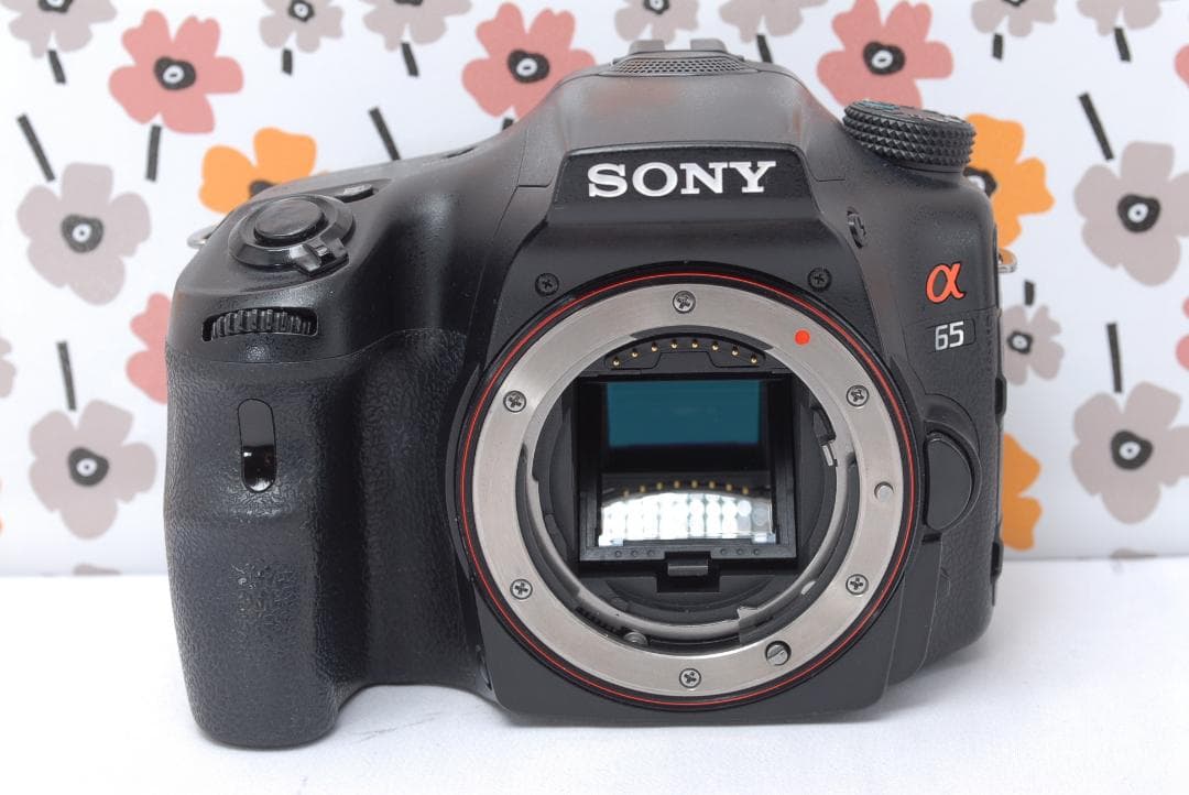 ❤即購入1000円OFF❤SONY α65❤超望遠トリプルレンズ❤超高画質❤