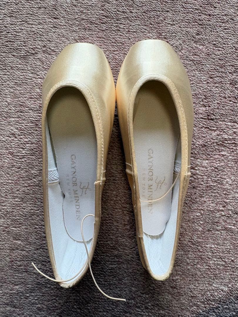 ゲイナーミンデントウシューズ　CL-8.5N3HDH