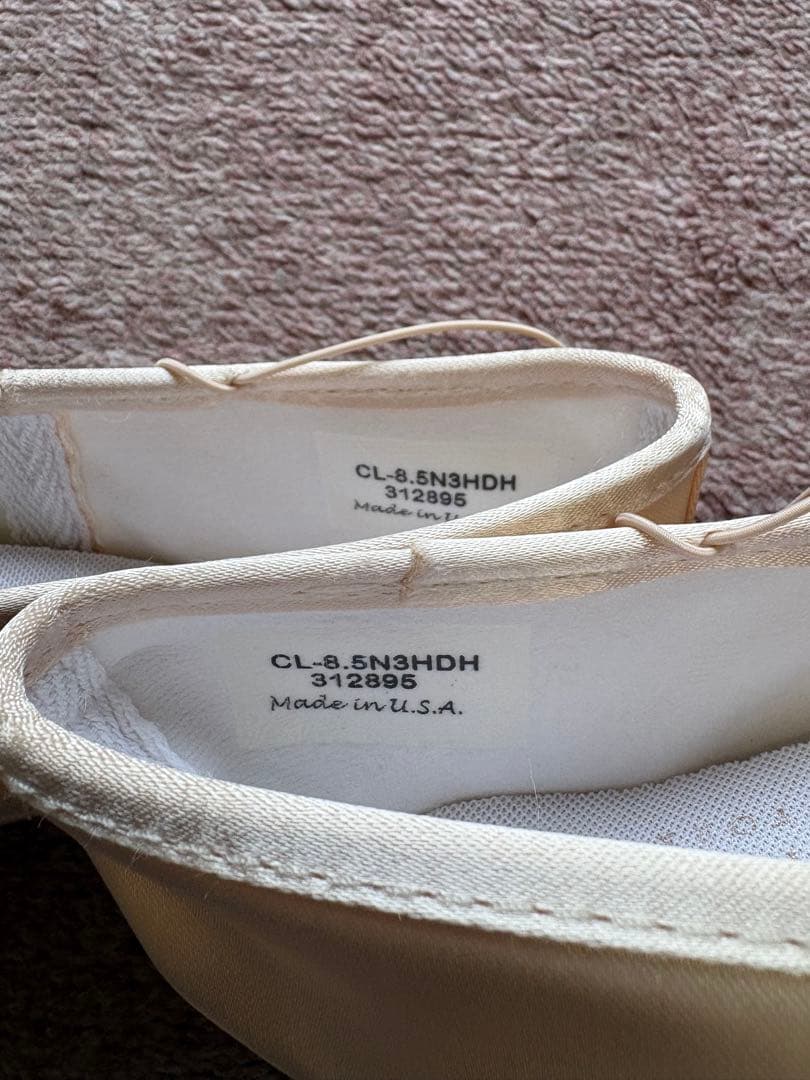 ゲイナーミンデントウシューズ　CL-8.5N3HDH