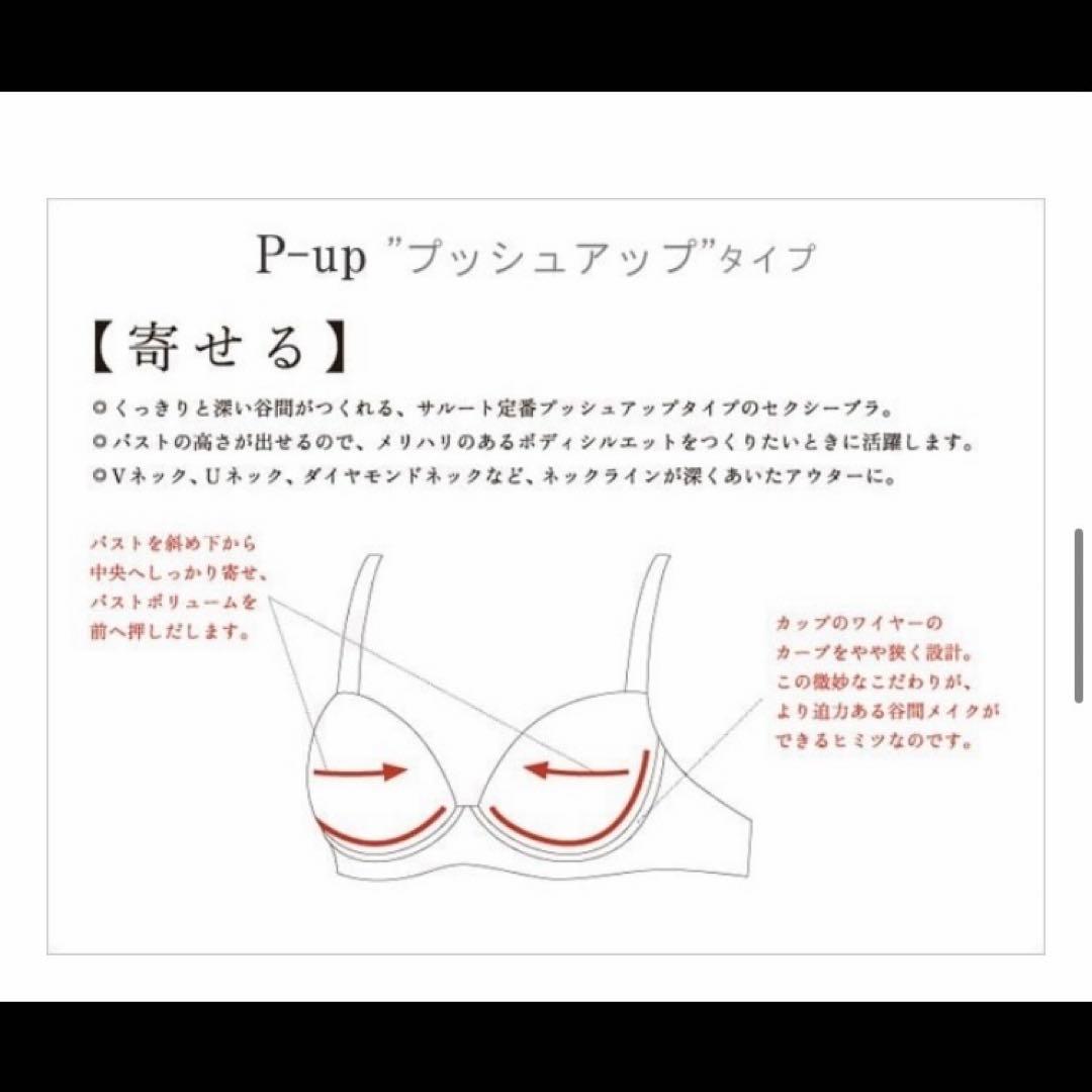 サルート　ローマの休日　F70/M　PU　02　P-upブラ　ソング　タンガ