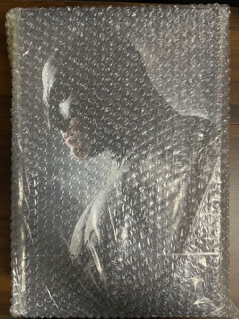 ホットトイズ　バッドマン　2.0