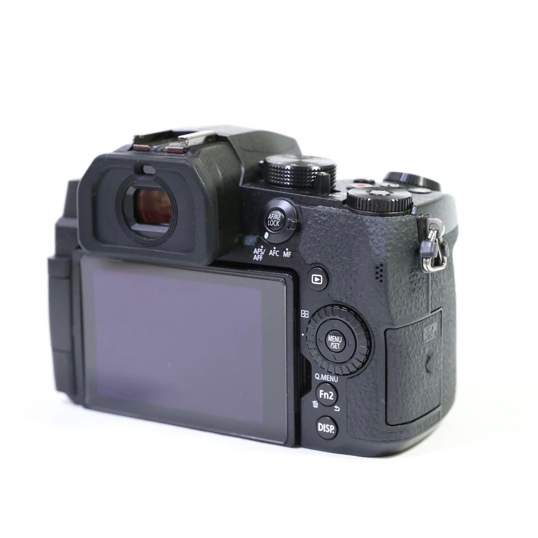 ★シャッター3000回　Panasonic LUMIX G99 少し訳あり