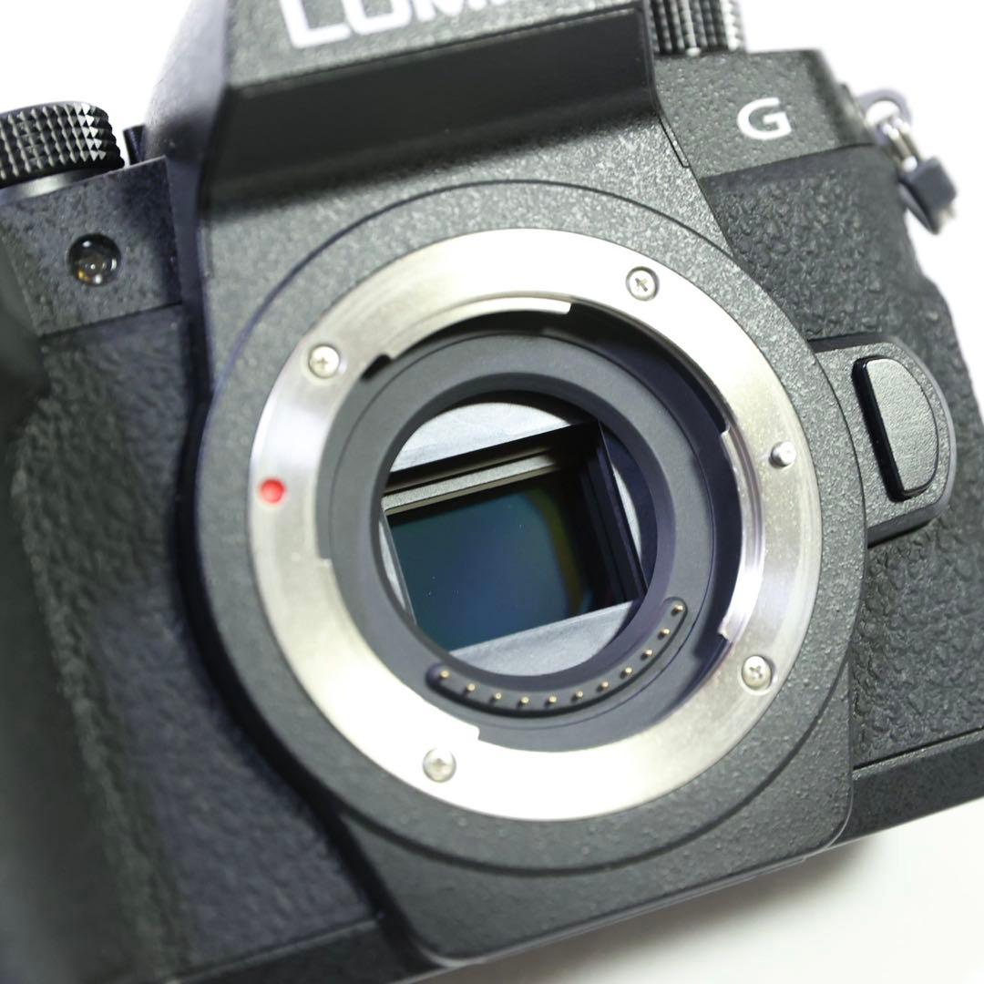 ★シャッター3000回　Panasonic LUMIX G99 少し訳あり