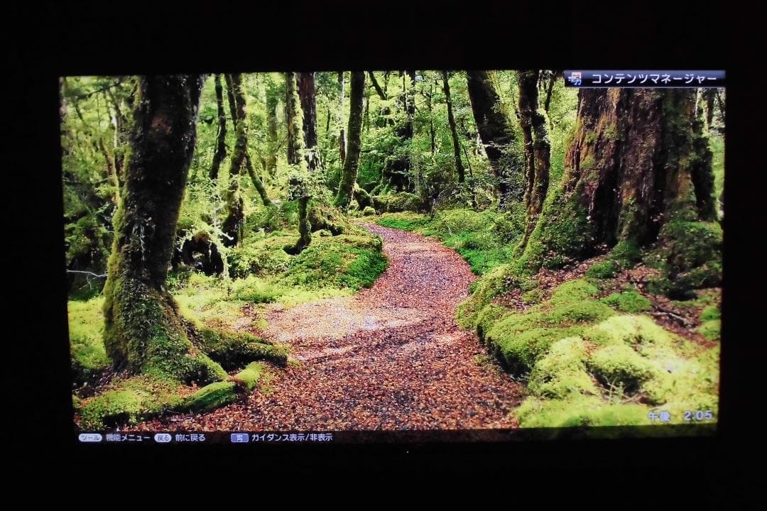 激安価格　シャープ　７０インチ　４Ｋテレビ　大型　３か月使用