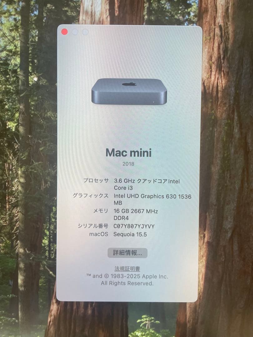 Macデスクトップ Apple Mac mini 2018 Intel Core i3 16GB