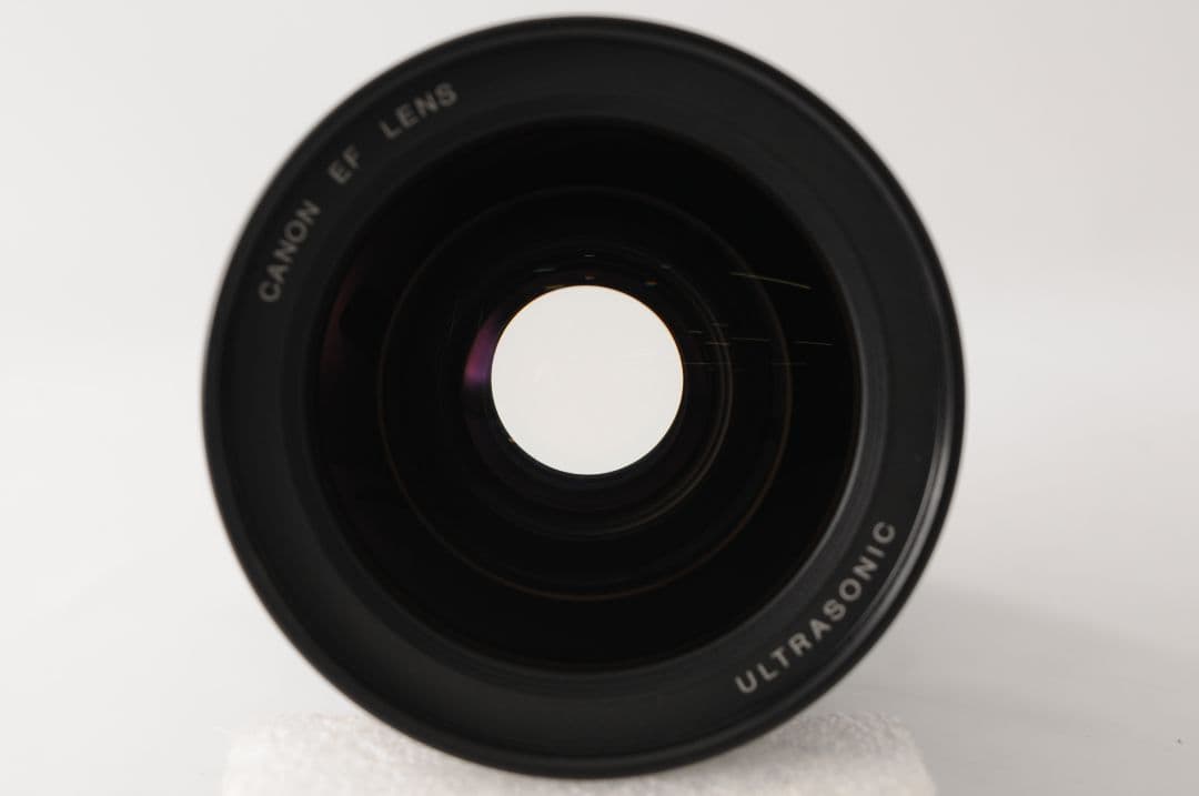 Canon EF28-70mm F2.8L USM 評価高い人気玉♪【美品】