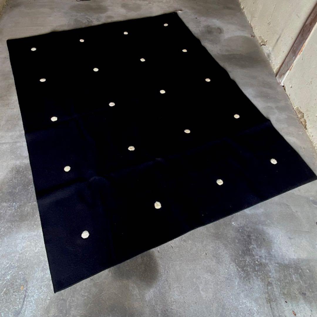 パオラレンティ paola lenti ラグ / カッシーナ アルフレックス