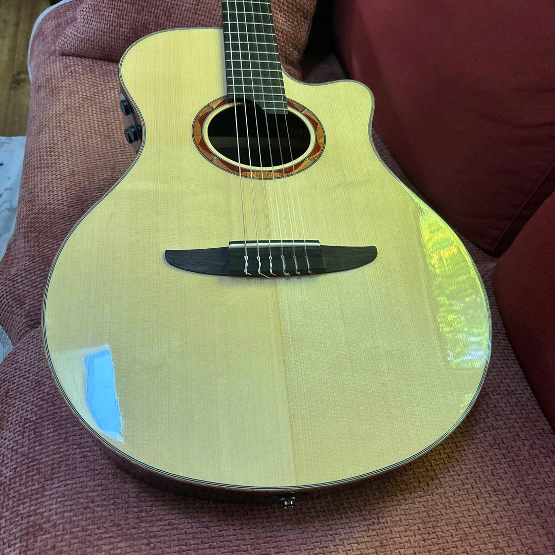 Yamaha NTX5 エレガット