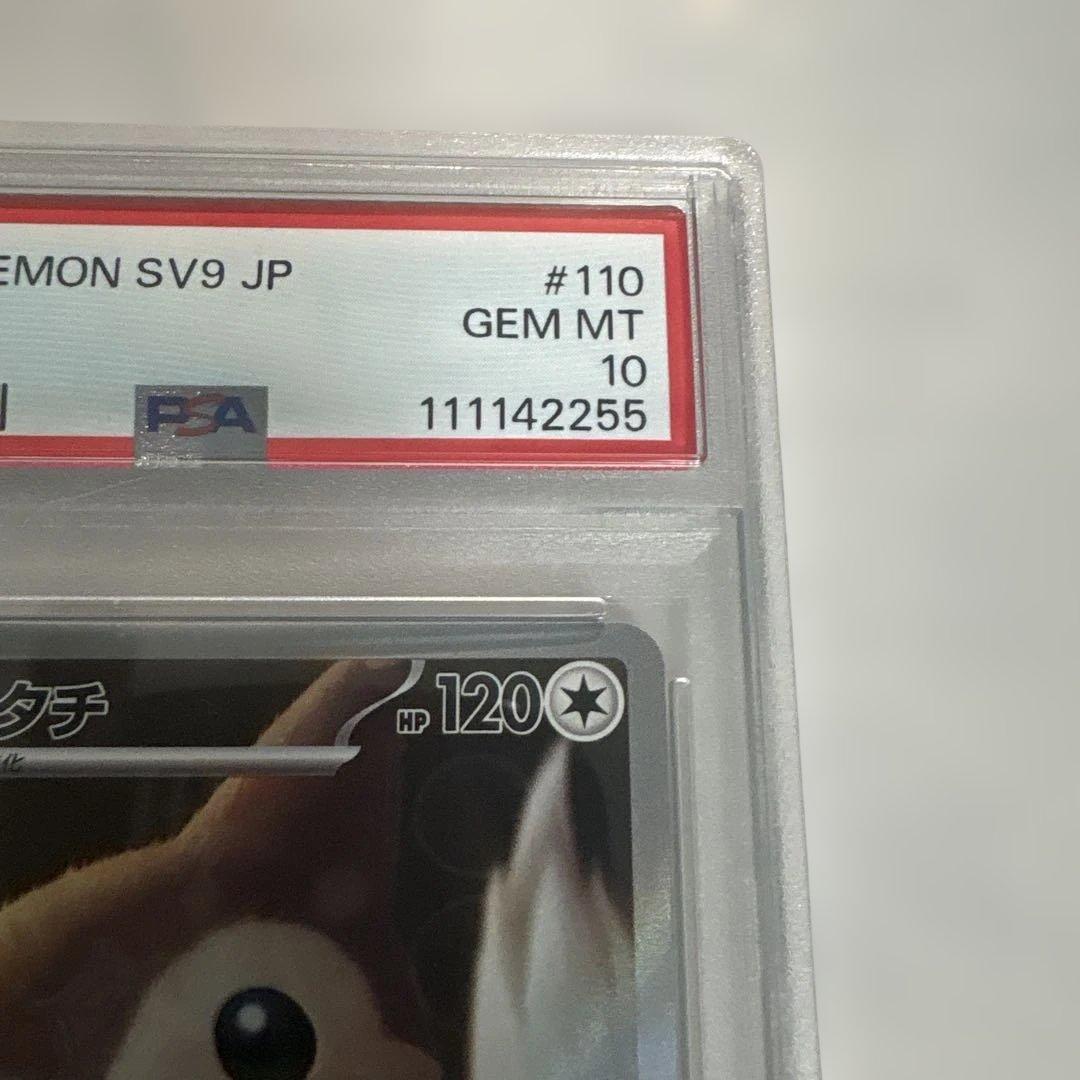 オオタチ AR PSA10