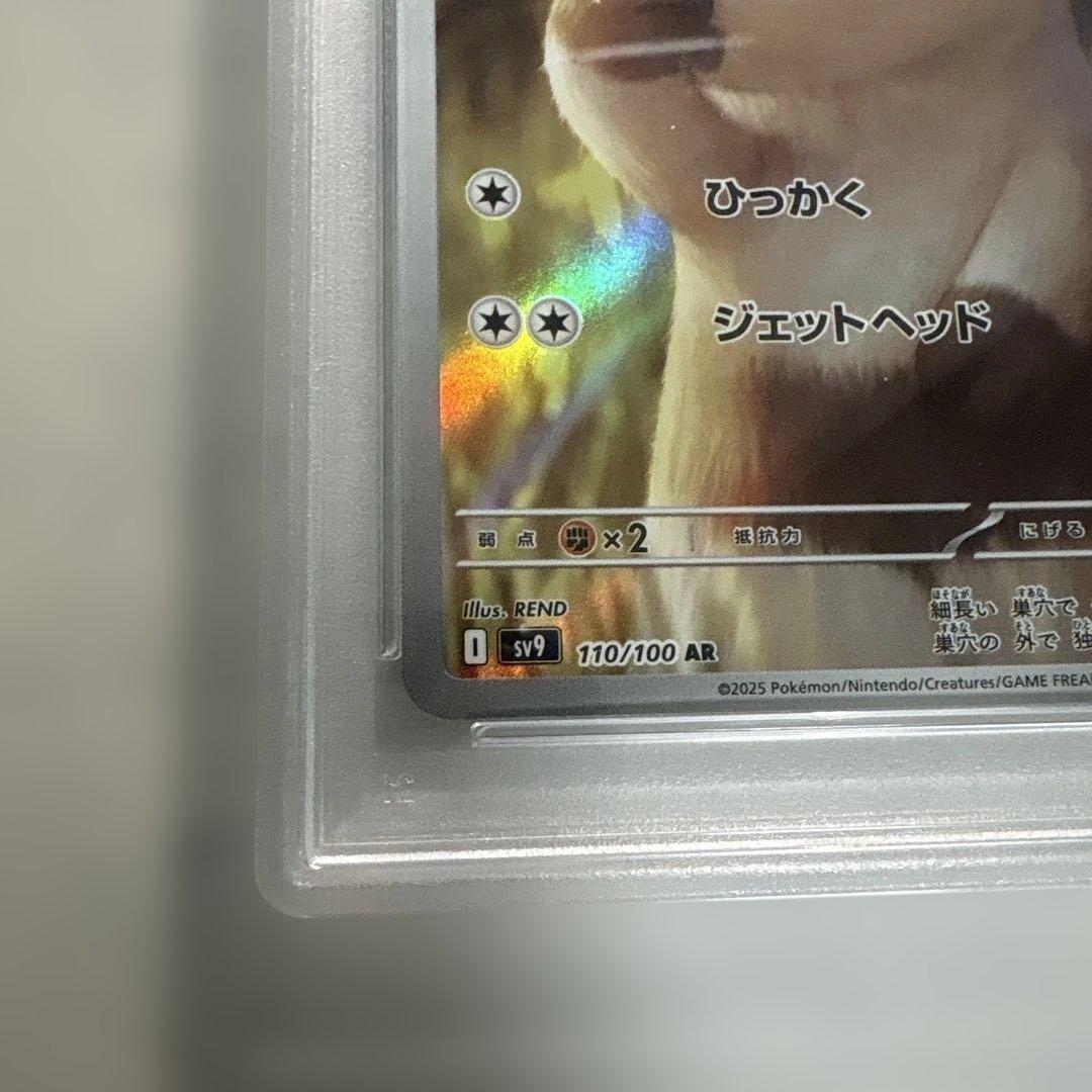 オオタチ AR PSA10