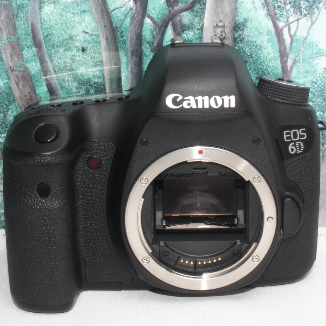 ☆はじめてのフルサイズ☆Canon EOS 6D 超望遠トリプルレンズセット