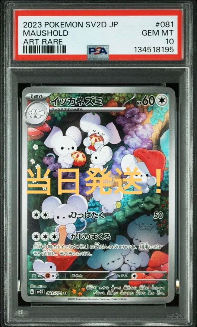 【最安値】PSA10イッカネズミ AR 081/071
