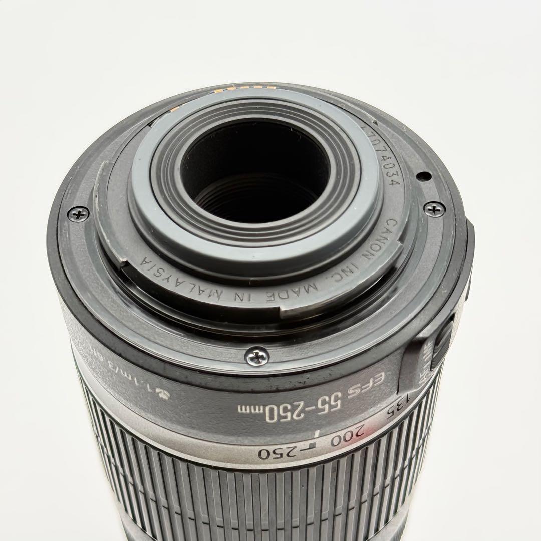 初心者おすすめ Canon Kiss X3 ダブルズーム