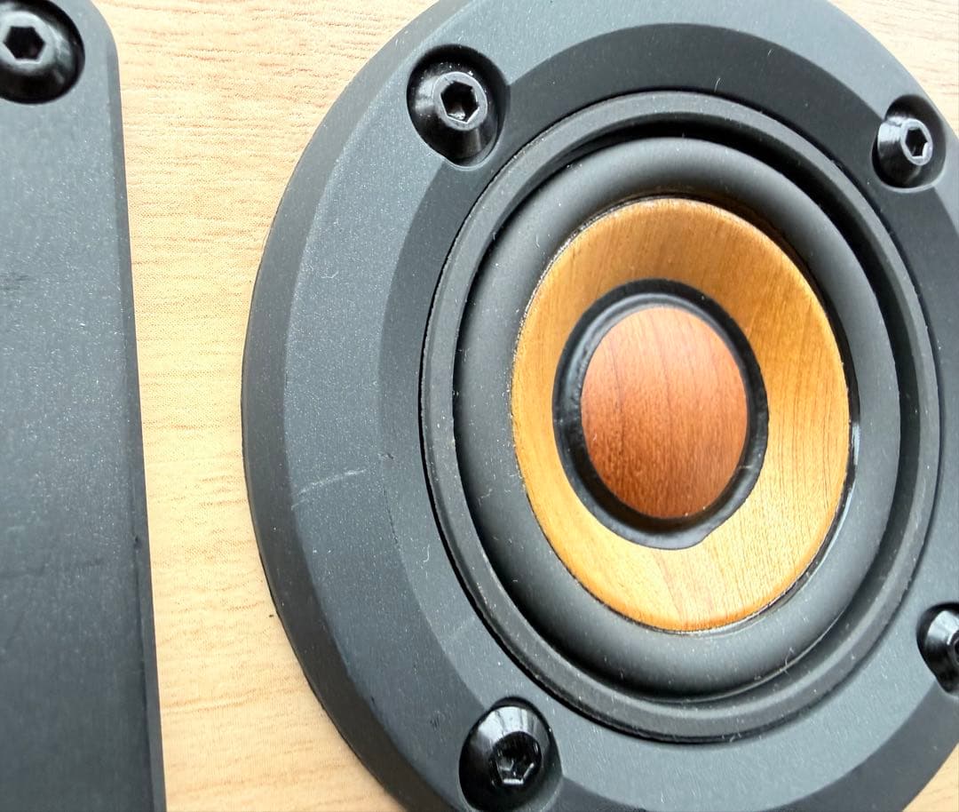 Victor EX-DM10 ウッドコーン WOOD CONE