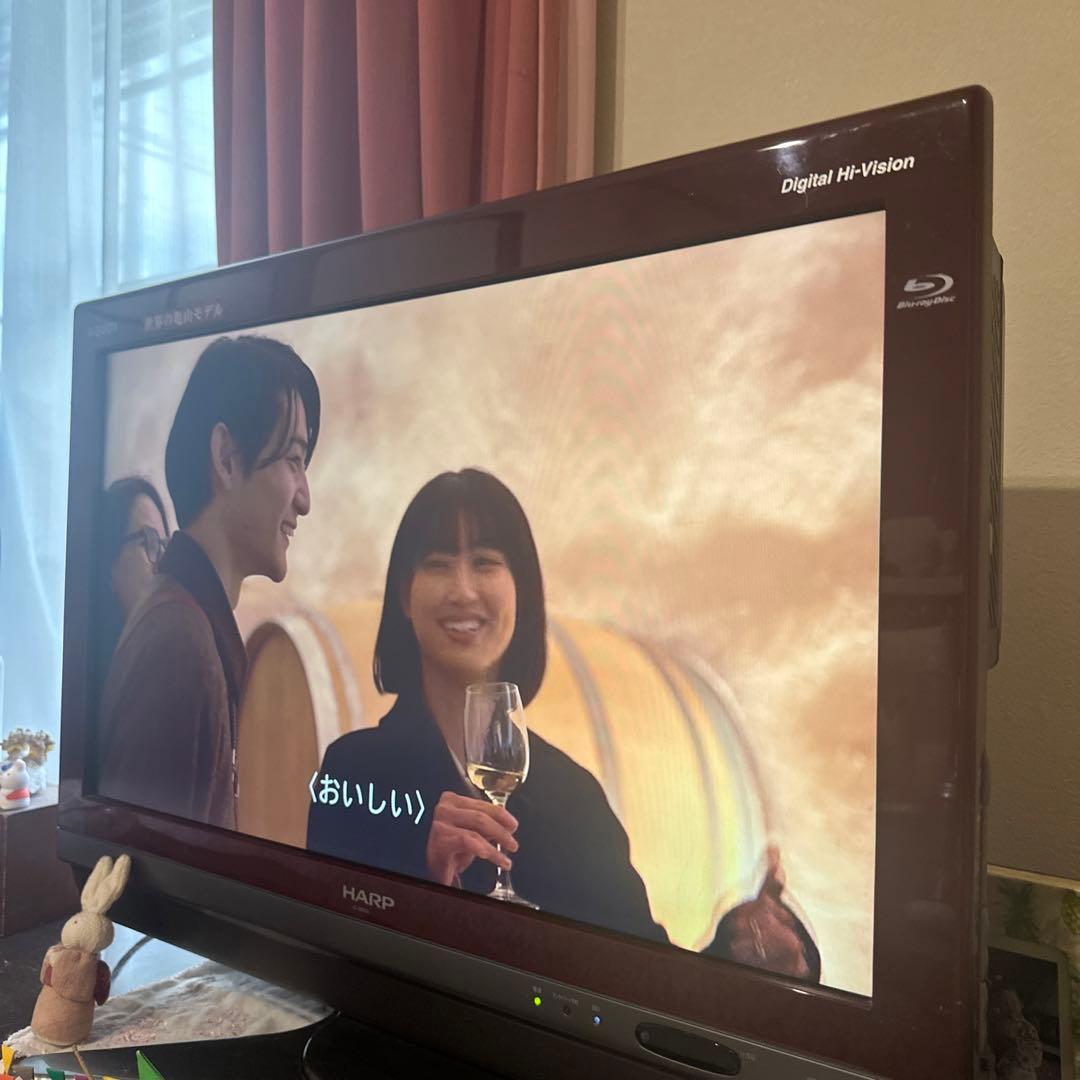 テレビ【きらりさん専用】