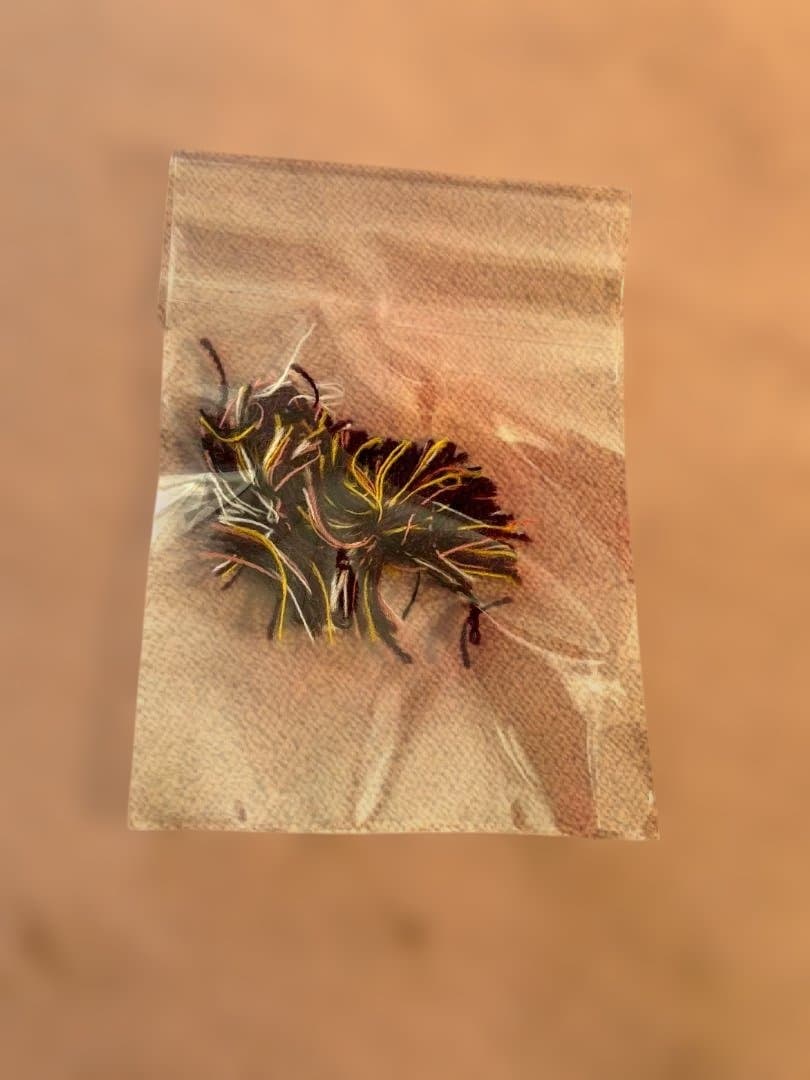 [訳あり] Jean-Paul GAULTIER MAILLE ペイズリーシャツ