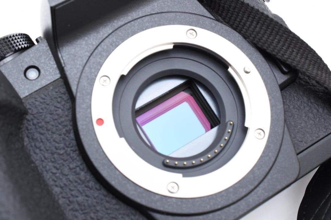 超美品　　2782ショット　LUMIX DC-G99D ミラーレス一眼カメラ