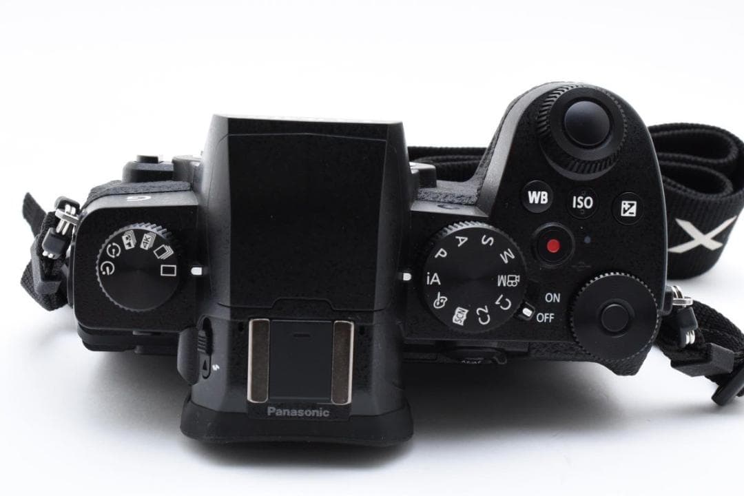 超美品　　2782ショット　LUMIX DC-G99D ミラーレス一眼カメラ