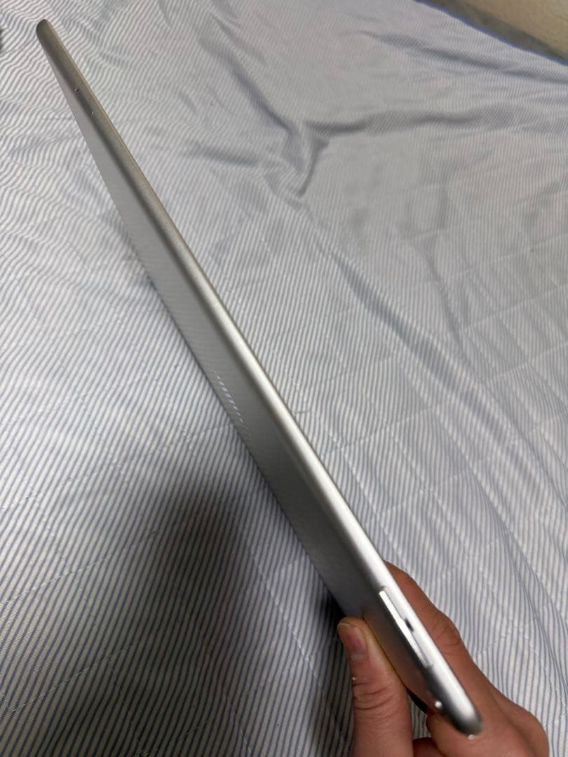 iPad Pro (12.9インチ) 第2世代 256GB Cellular