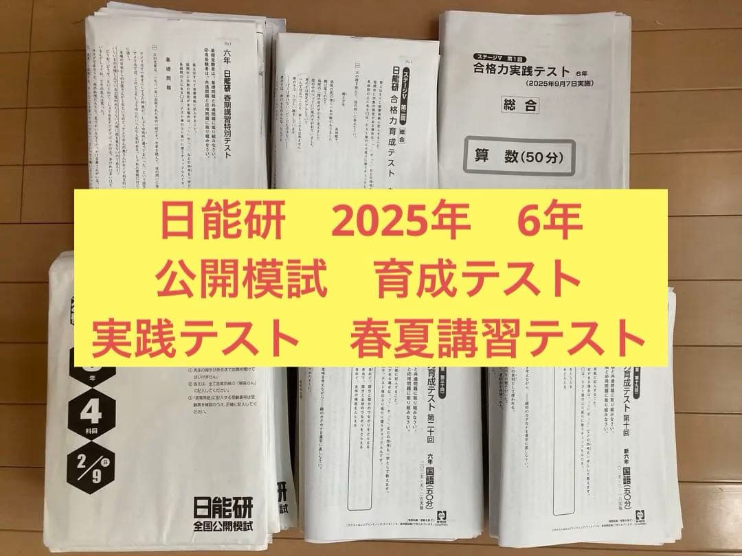 ‼️Mac‼️日能研 6年テスト 2025年度 公開模試 育成 夏春講習
