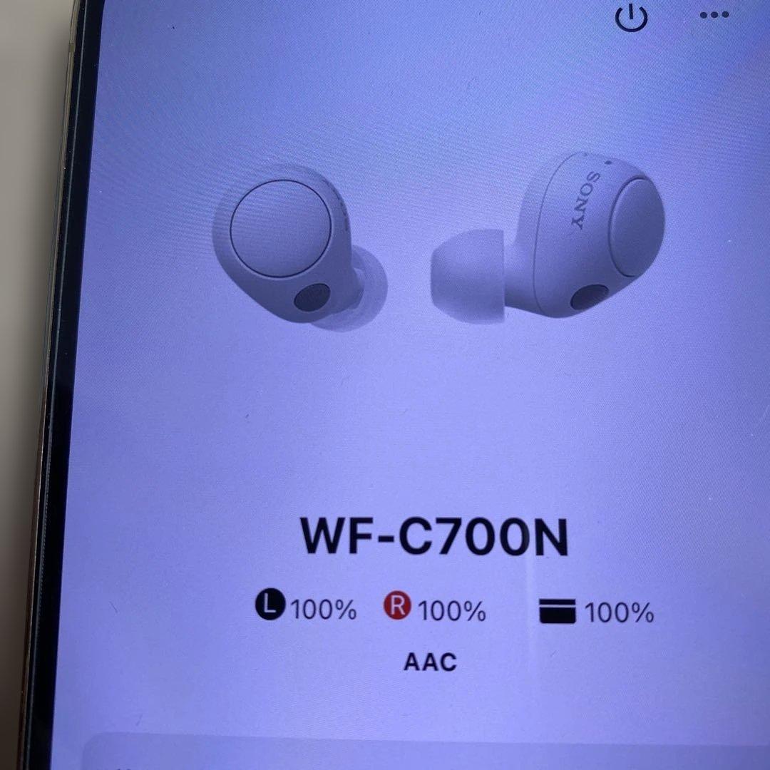 ソニー(SONY) 完全ワイヤレスイヤホン WF-C700N