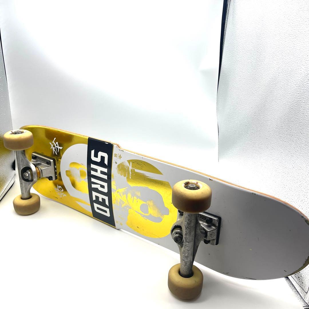 EVISEN クルーザー　8inch