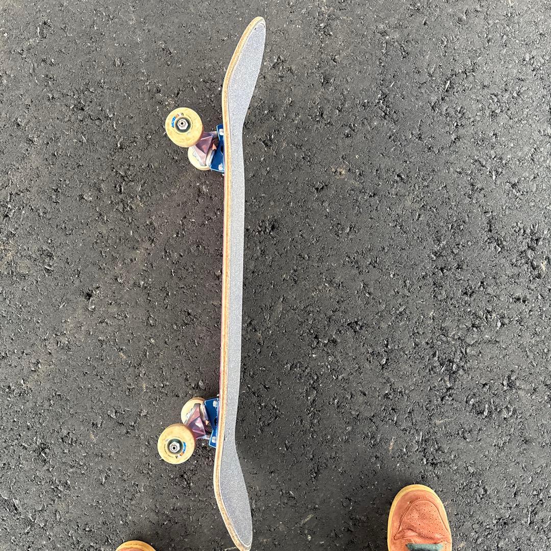 Andrew Brophy Sheila スケートボードデッキのみ