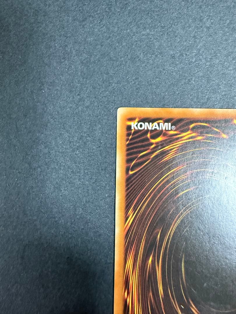 ライオウ　レリーフ　EUフランス