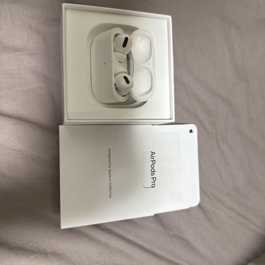 Apple AirPods Pro 本体とイヤホン両方