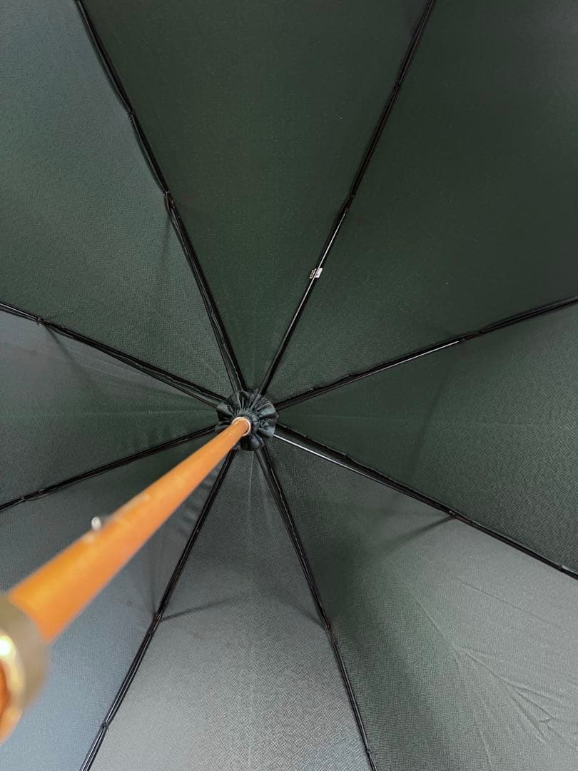LOUIS VUITTON タイガ 傘 〈Taiga〉Umbrella