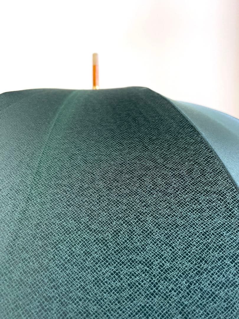 LOUIS VUITTON タイガ 傘 〈Taiga〉Umbrella