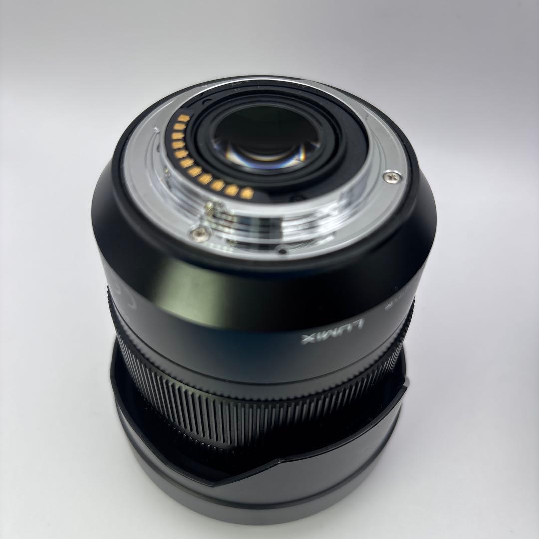 ⭐️LEICA DG VARIO-ELMARIT 12-60mm F2.8-4.0