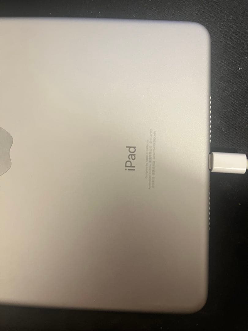 Apple iPad mini5 シルバー 本体(84%）