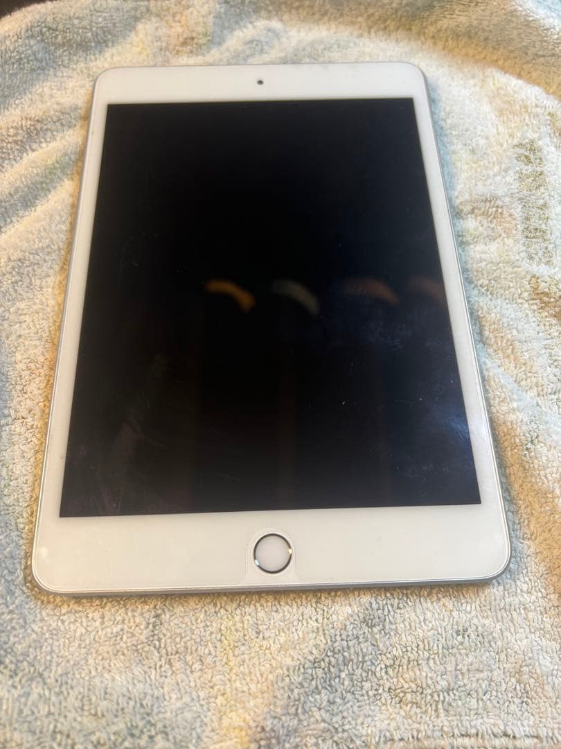 iPad mini (第5世代)