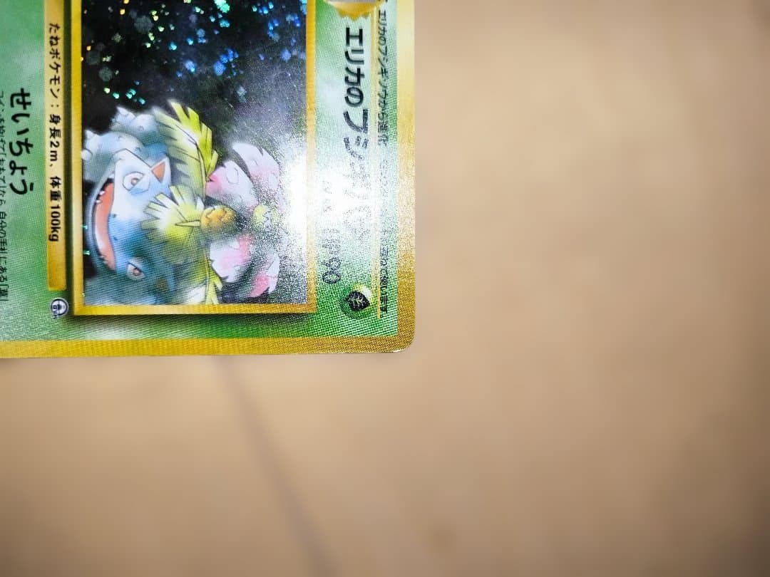 【旧裏面/限界値下げ】No.003[★]エリカのフシギバナ　2枚セット