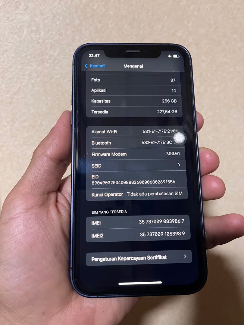 Apple iPhone XR 256 gb SIM フリー