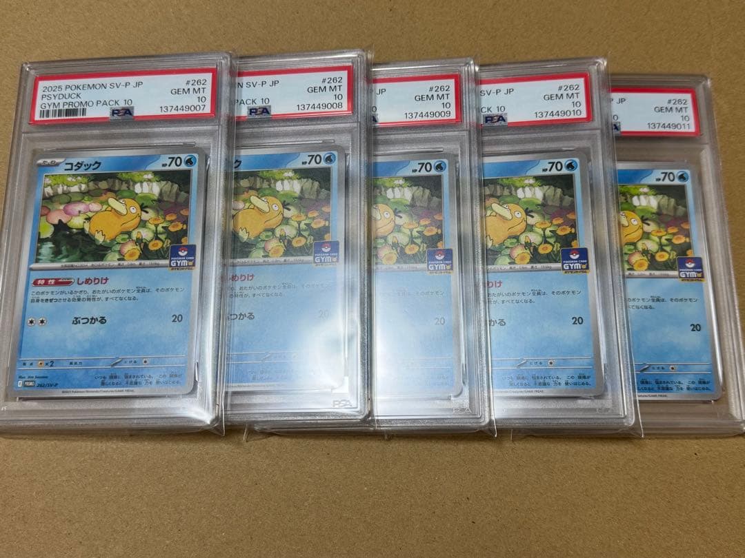 PSA10 コダック　プロモ　しめりけ　262/SV-P 5連番